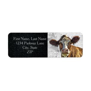 Vache laitière Red Holstein jolie ferme Adresse de
