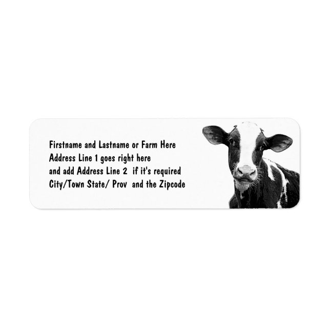 Vache laitière - Veau laitier noir et blanc (Devant)