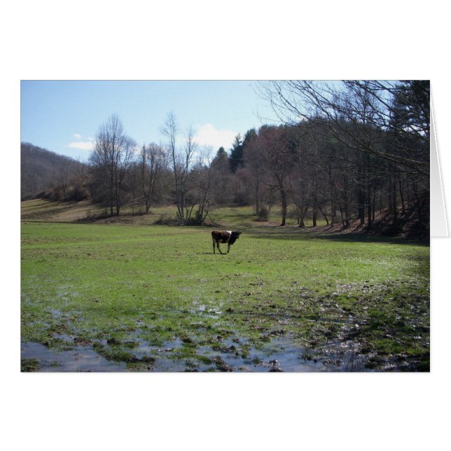 Vache solitaire (Devant horizontal)