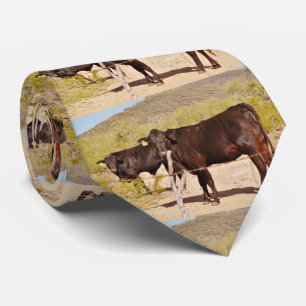Vaches Brown dans la Cravate Chrome