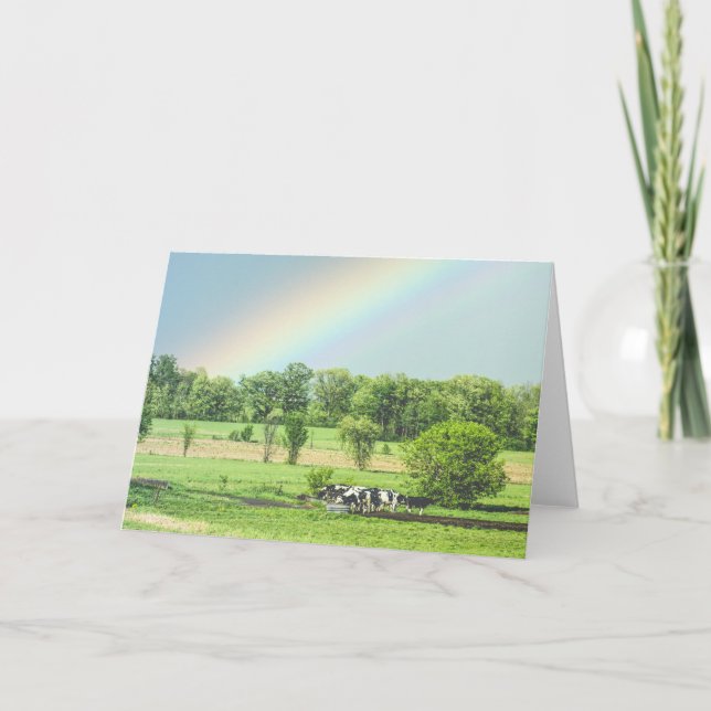 Vaches dans un pâturage + carte de voeux arc-en-ci (Devant)