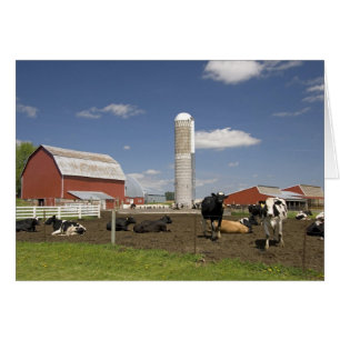Vaches devant une grange et un silo rouges à une