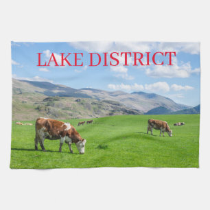 Vaches du district du lac broutant la serviette de