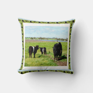 Vaches Galloway encadrées, Coussin