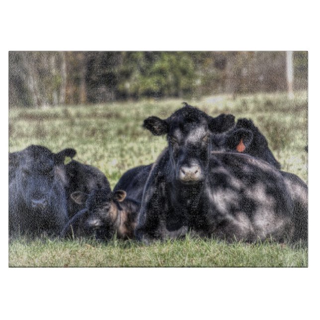 Vaches noires à Angus dans la planche à découper (Devant)