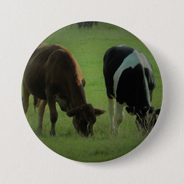 Vaches photo Badge rond (Devant)