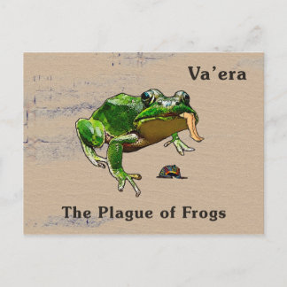 Va'era - Frogs Postcard