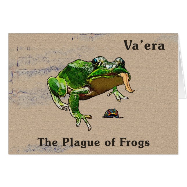 Va'era - Grenouilles (Devant horizontal)