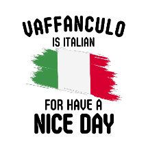 Vaffanculo is italian for have a nice day, Italian