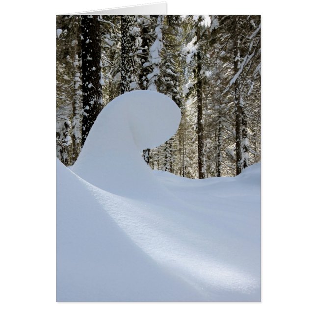 Vague de neige 2014 (Devant)