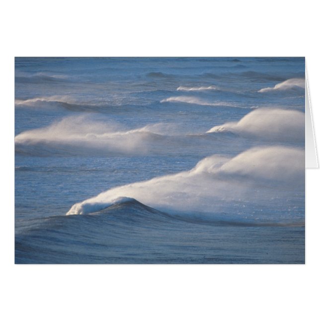 Vagues (Devant horizontal)