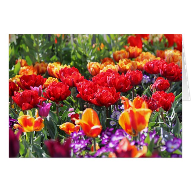 Vagues de Crimson floral tombées (Devant horizontal)