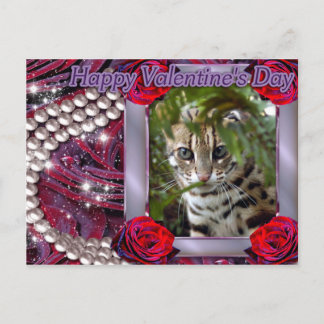 val-bengal-cat-00073-6x4 holiday postcard