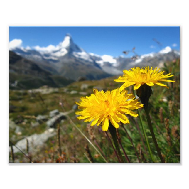 Valais Alps Swiss Photo Print (Front)