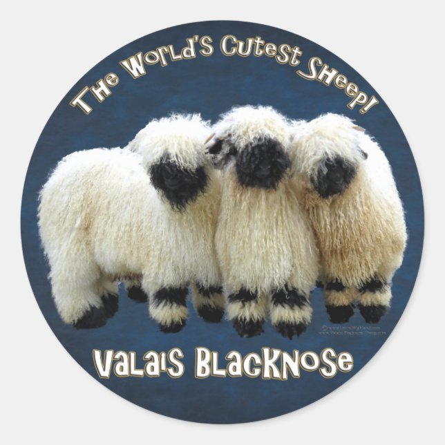 Valais Blacknose - World's Cutest Sheep Sticker (Front)