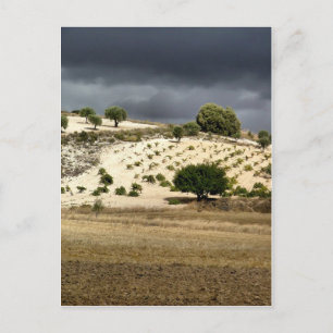 Valdelaguna, Madrid Postcard