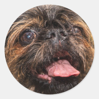 Valencia! Classic Round Sticker