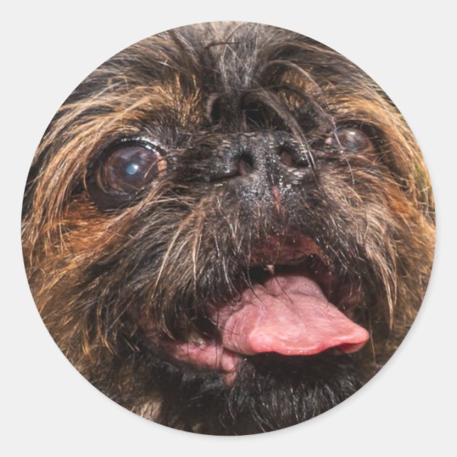 Valencia! Classic Round Sticker (Front)