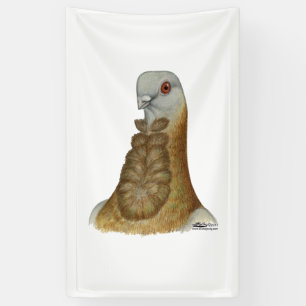 Valencian Figurita Pigeon Portrait Banner