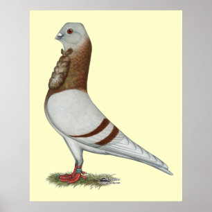 Valencian Figurita Pigeon Poster
