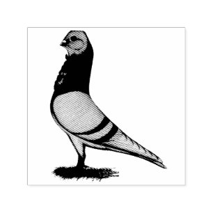 Valencian Figurita Pigeon Self-inking Stamp