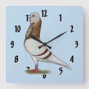 Valencian Figurita Pigeon Square Wall Clock