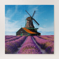Valensole Lavender Fields Provence France