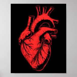 Valentine Anatomical Heart Red Cardiology Cardiac Poster