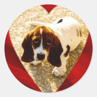 Valentine Bassett Hound Classic Round Sticker