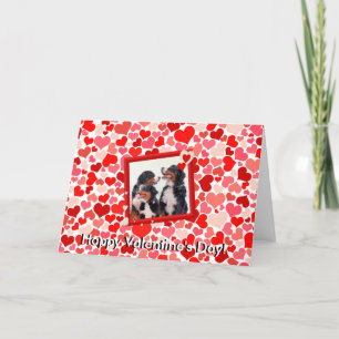 Valentine Bernese Mountain dog Carte de voeux de c