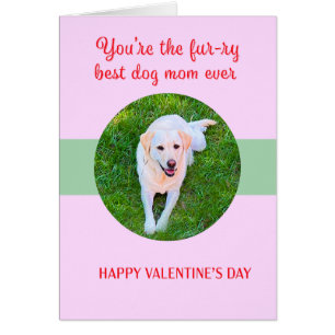 Valentine Best Dog Maman Aimer mignonne