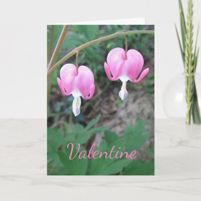 Valentine Bleeding Hearts Card (Front)