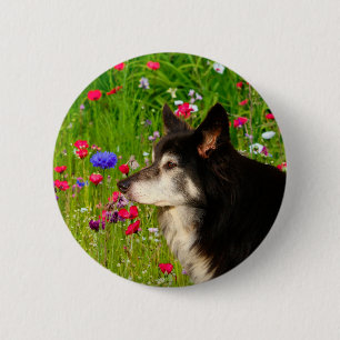 Valentine Border Collie with beautiful flowers 2 Inch Round Button