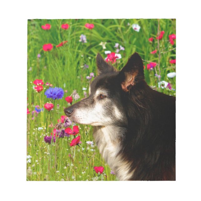 Valentine Border Collie with beautiful flowers Notepad (Front)