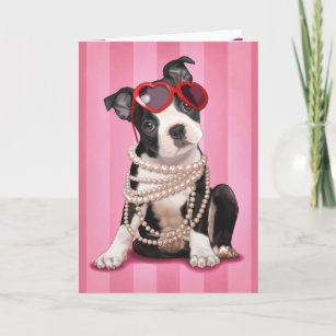 Valentine Boston Terrier Holiday Card