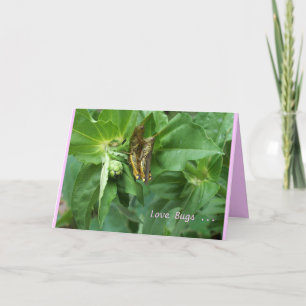 Valentine Card / Love Bugs