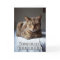 Valentine Cat funny poem