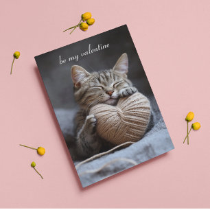 valentine cat postcard