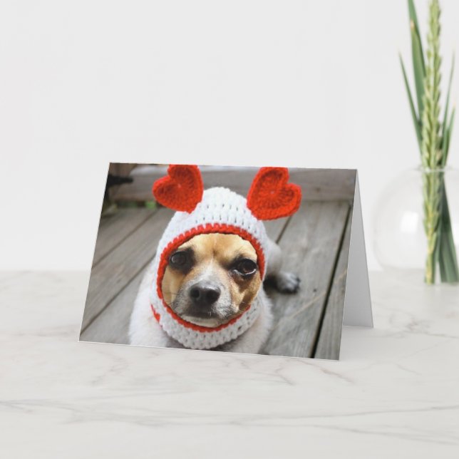 Valentine Chihuahua Holiday Card (Front)