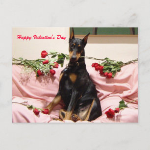 Valentine Dobercard Holiday Postcard