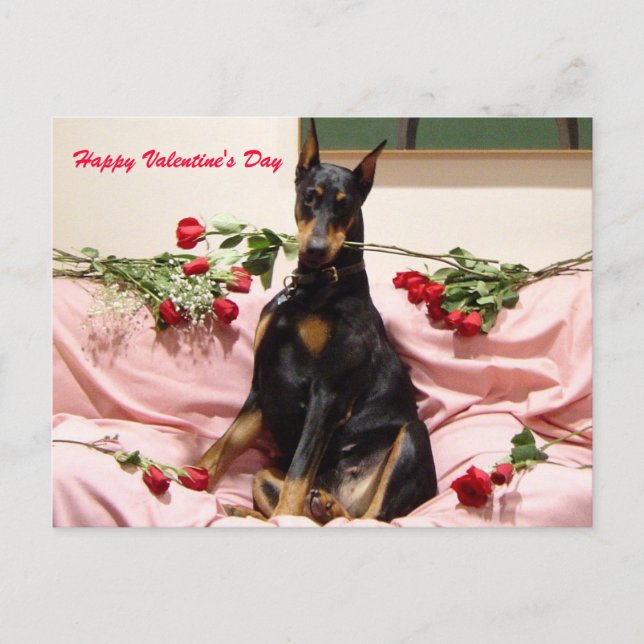 Valentine Dobercard Holiday Postcard (Front)