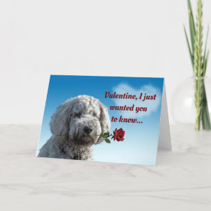 Valentine Dog With Rose Holiday Card