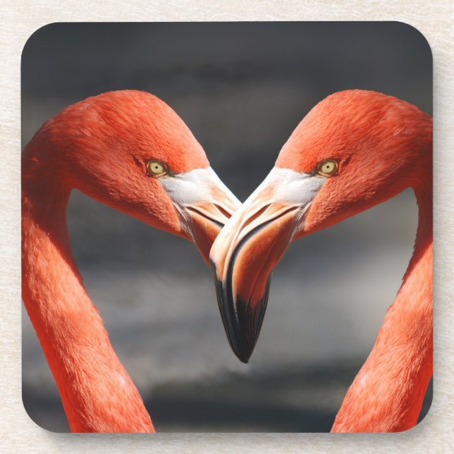 Valentine Flamingo Coaster (Front)