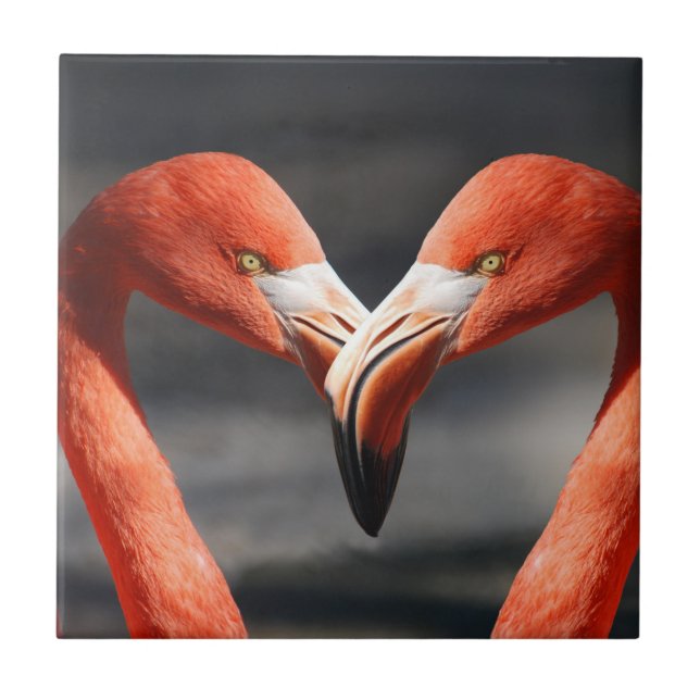 Valentine Flamingo Tile (Front)