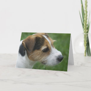 Valentine form the Dog Holiday Card