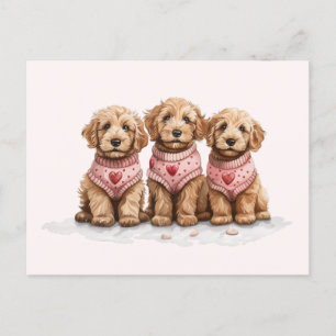 Valentine Goldendoodle Dogs Postcard