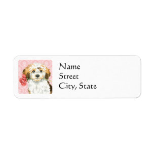 Valentine Havanese rose