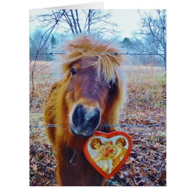 Valentine Heart Horse (Devant)