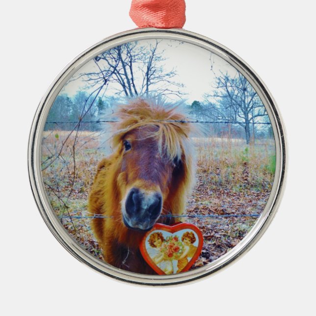 Valentine Heart  Horse Metal Ornament (Front)