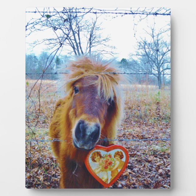 Valentine Heart  Horse Plaque (Front)